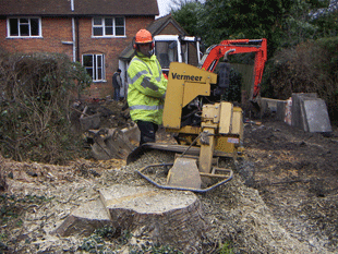 South Bucks Tree Surgeons Tree felling in tight area's and Root Grinding
