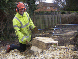 South Bucks Tree Surgeons Tree felling in tight area's and Root Grinding