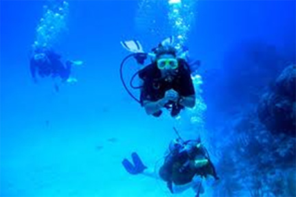 http://www.thebugibbahotelmalta.com/Portals/14/images/Diving-large.jpg